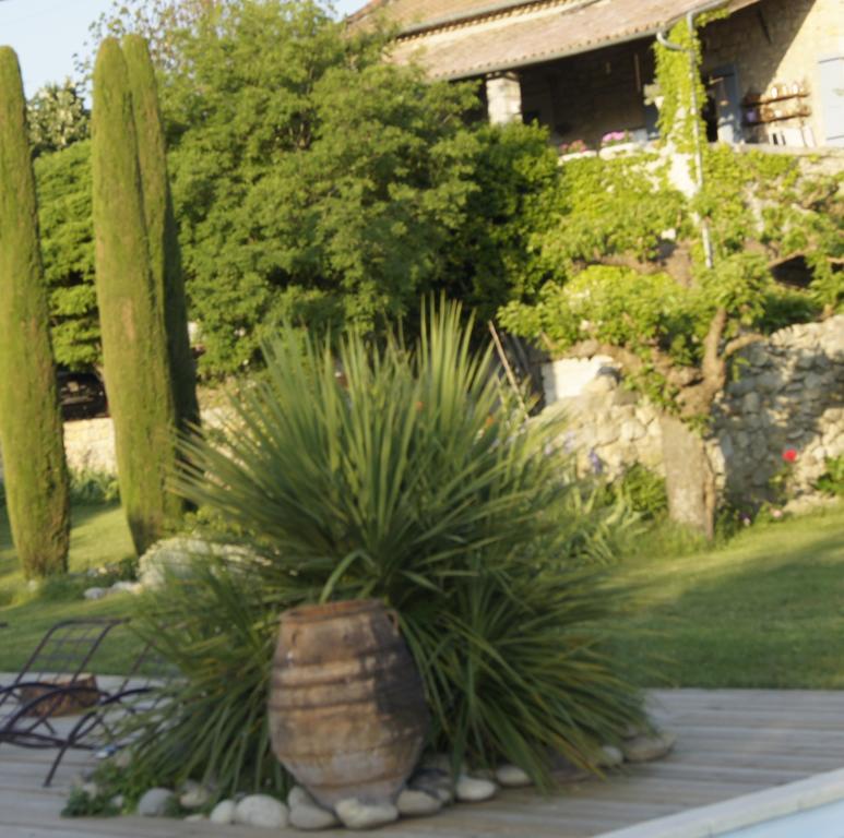 Domaine De La Manse Hotel Villeneuve de Berg Bagian luar foto